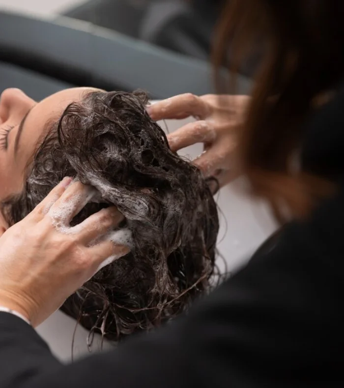 Image hover effect image